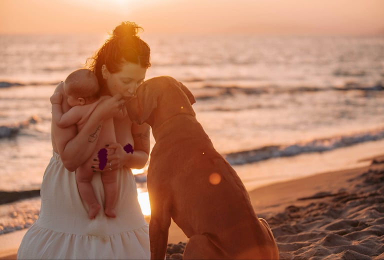neonato abbracciato alla mamma che bacia al cane sulla spiaggia al tramonto