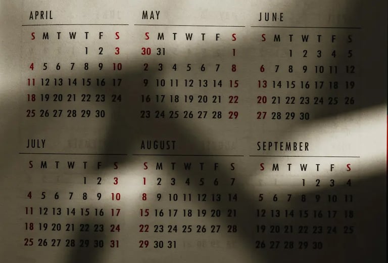 A wall calendar showing all twelve months with plant shadows cast across the page.