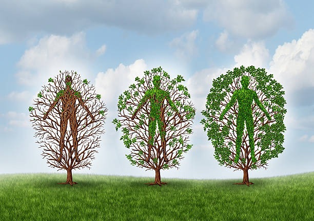 Restore and recover therapies