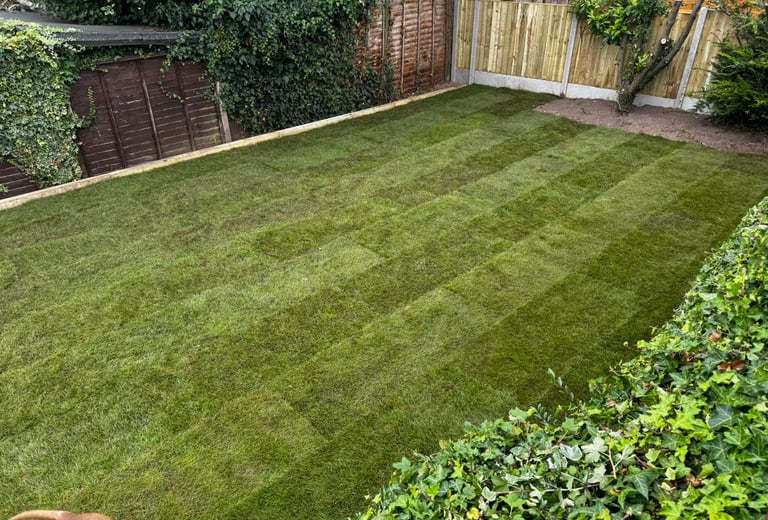 freshly layed lawn at home in malvern