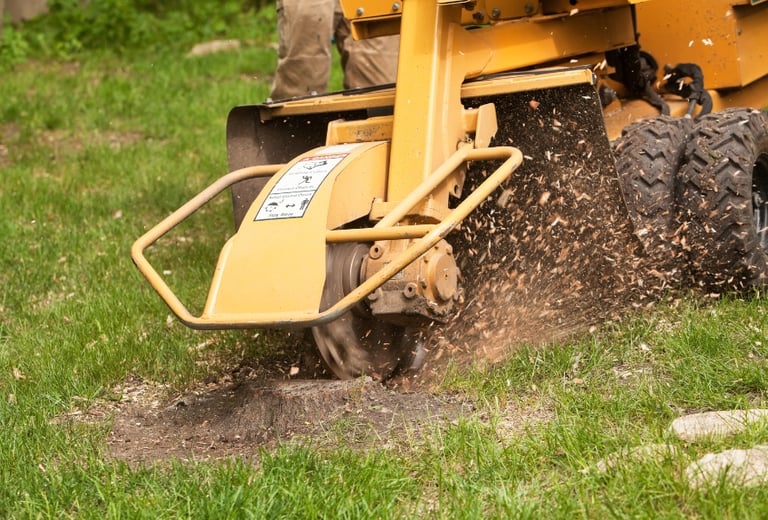 TREE-MENDOUS Tree Service