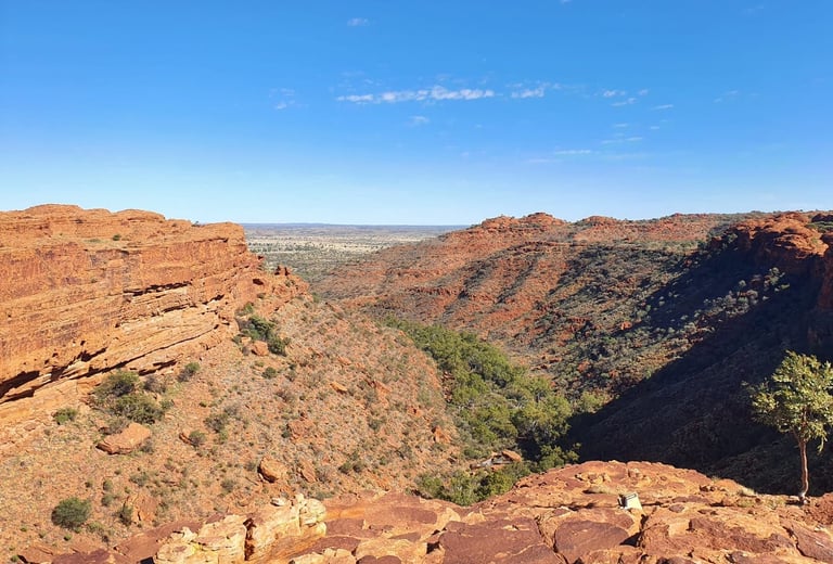 Vistas desde Kings canyon rim walk