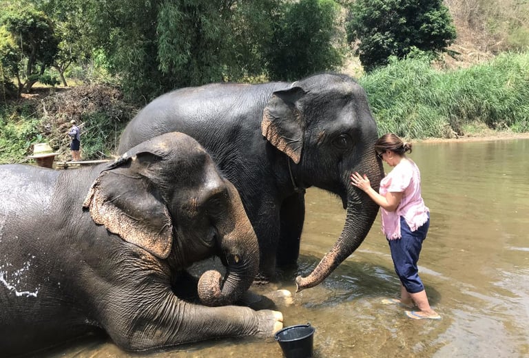 Elephant Sanctuary