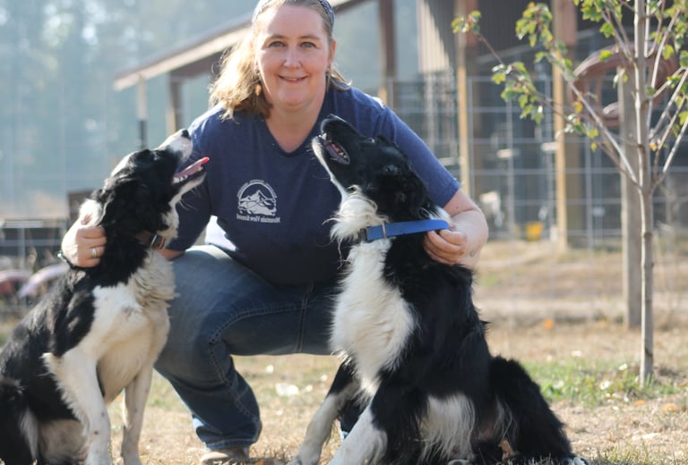 Dog board and train options in North Idaho.