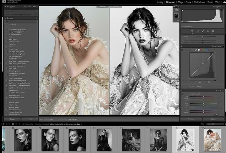 lightroom monochrome colour conversion course by james nader