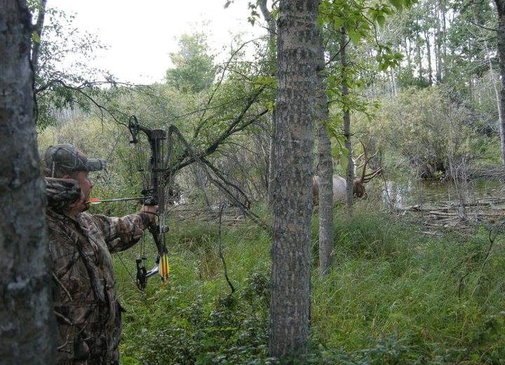 Hunter about to take a giant bull elk