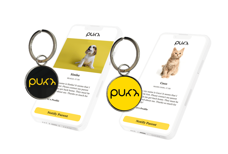 Purr Tags with Dog & Cat Lost Mode
