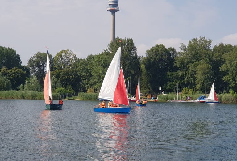 Boot auf der Donau