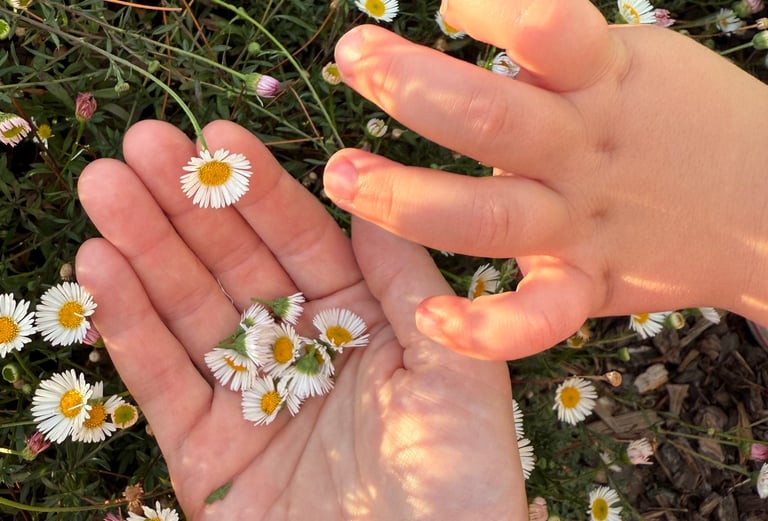 Hand of a child picking flowers and gently placing them in the hand of the mother