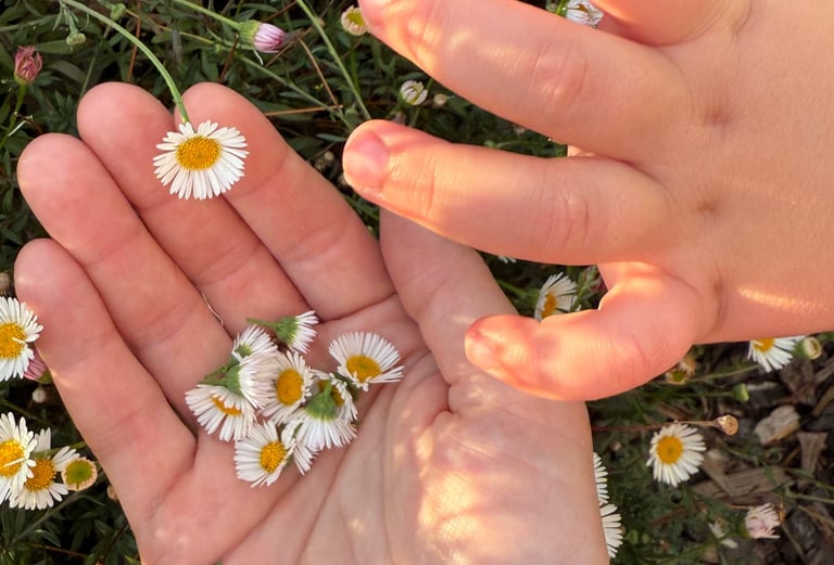 Soft Strength Mother supports mothers using simple, grounding mindfulness and movement.