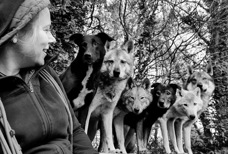 Julie Desury et ses chiens