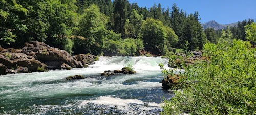 Waterfall Hwy, OR -Salmon jump up the Deadline Falls waterfall