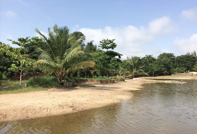Serene sandy riverbank at Mandinari Lodge | Birding Adventures Gambia