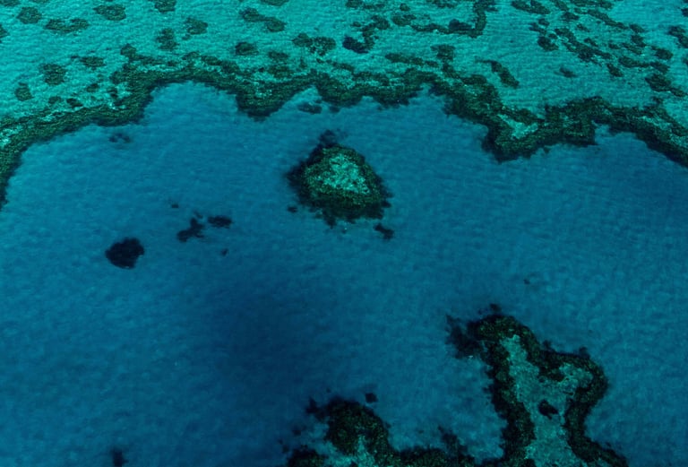 Aerial view of a vibrant coral reef in clear turquoise tropical ocean water.