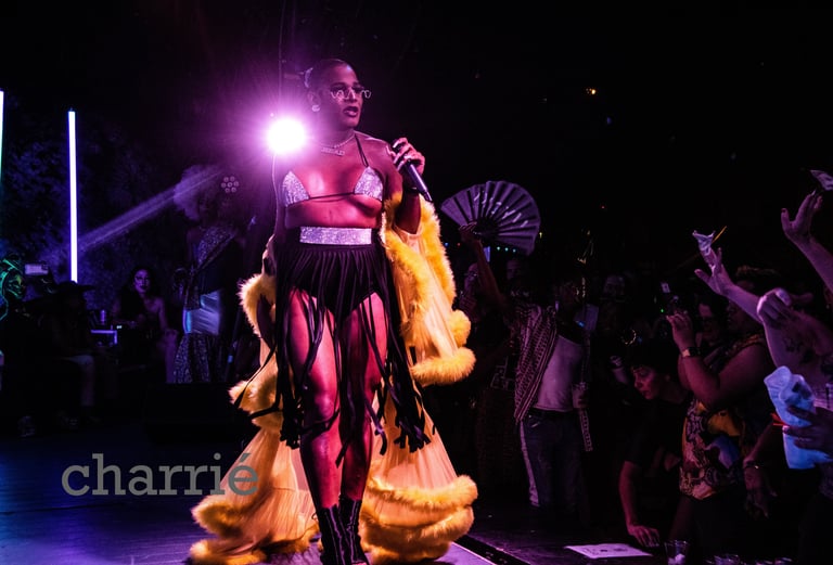 majestic black drag queen with chiffon covering draped behind her backlit by spotlight.