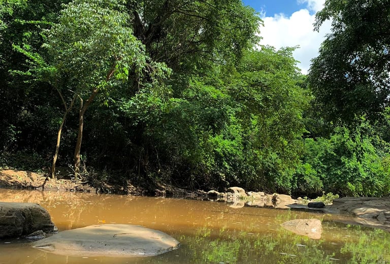 Balneario La Poposè