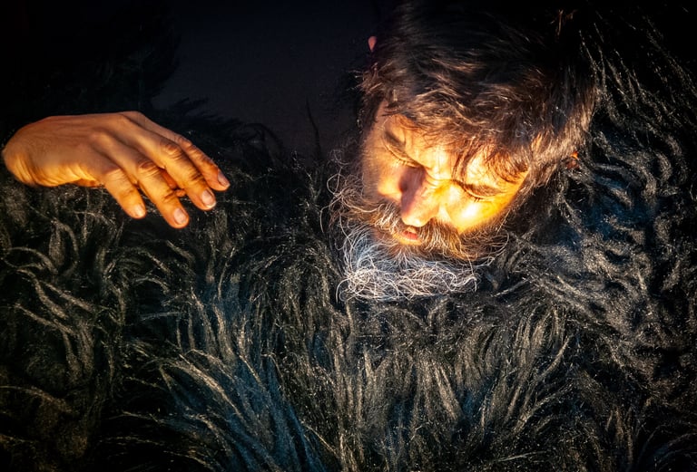 Buster vs Quim Kong cia tartaruga