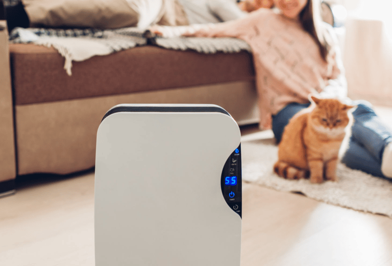 a woman sitting on a couch with a cat