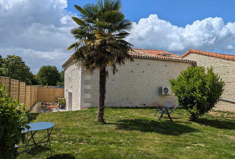 a palm tree in a backyard with a palm tree