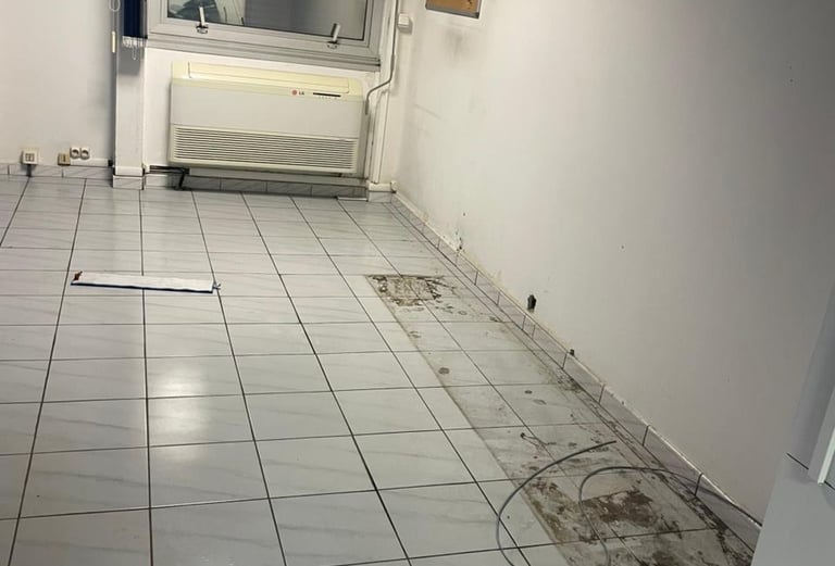 Nettoyage professionnel et transformation avant / après