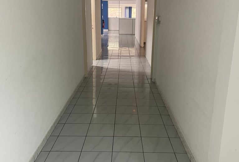 Nettoyage professionnel et transformation avant / après