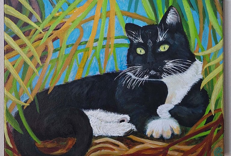 a black cat sitting in the woods