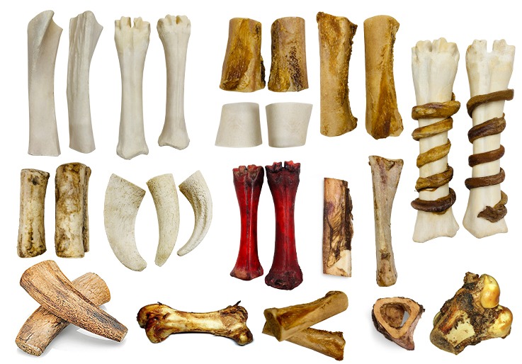 Variety of natural dog chew bones and long-lasting marrow treats for pet dental health.
