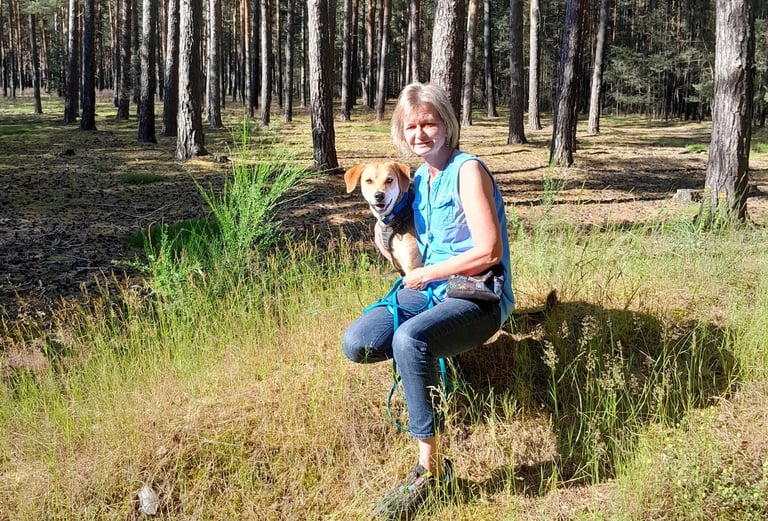 Hundetraining: Borkheide, Beelitz, Kloster Lehnin, Werder, Seddiner See, Treuenbrietzen, Potsdam