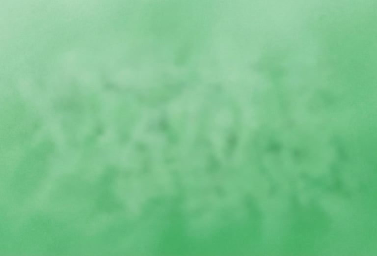 a person holding a surfboard in the ocean