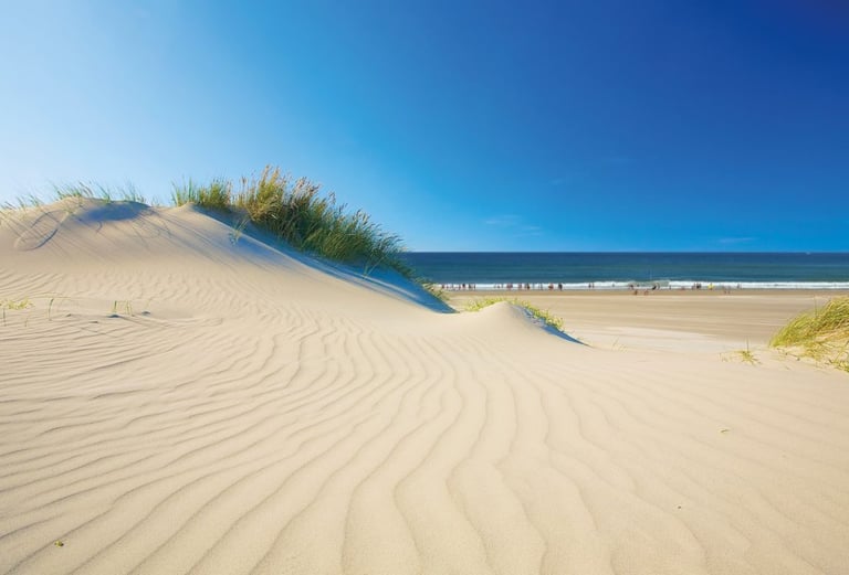 photo de la plage d'Hossegor