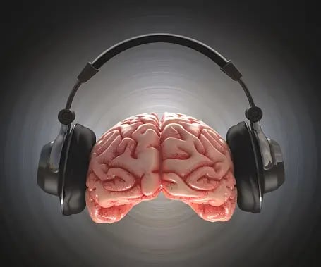 brain on music