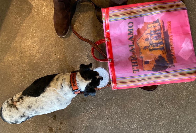 Shopping the Alamo with my Bestie Gigi