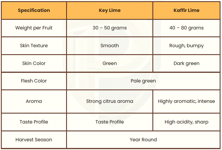 Comparison chart showing differences between Key Lime and Kaffir Lime specifications and fruit characteristics.