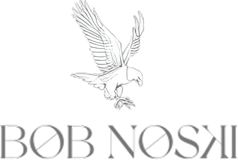 Logo client aigle partenaire vidéo