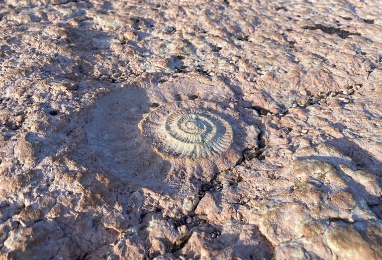 Espagne randonnée fossile