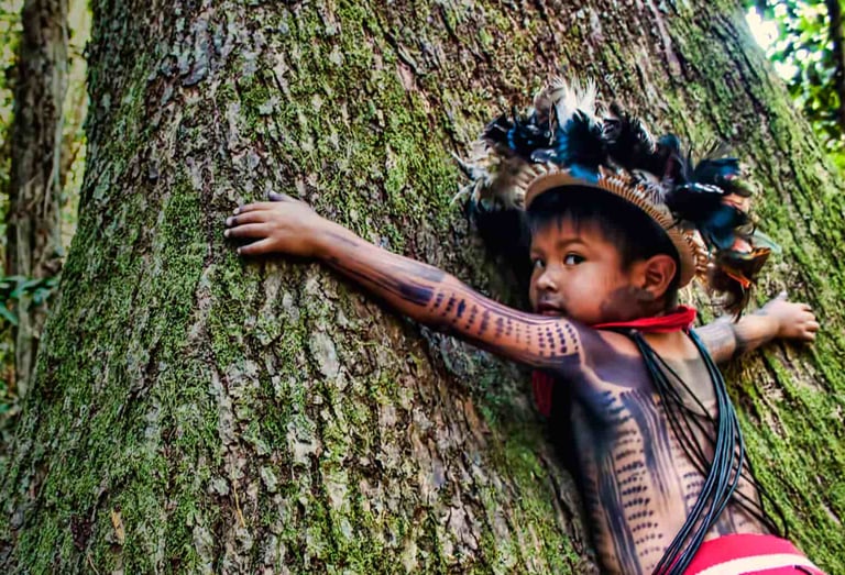 ENVIRONMENT & SUSTAINABILITY