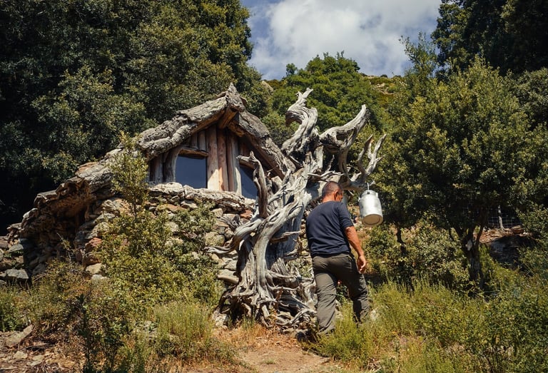 Stone and juniper shelter in Ogliastra, Sardinia, surrounded by Mediterranean nature.