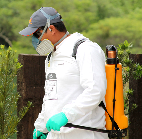 controle de pragas em jardim