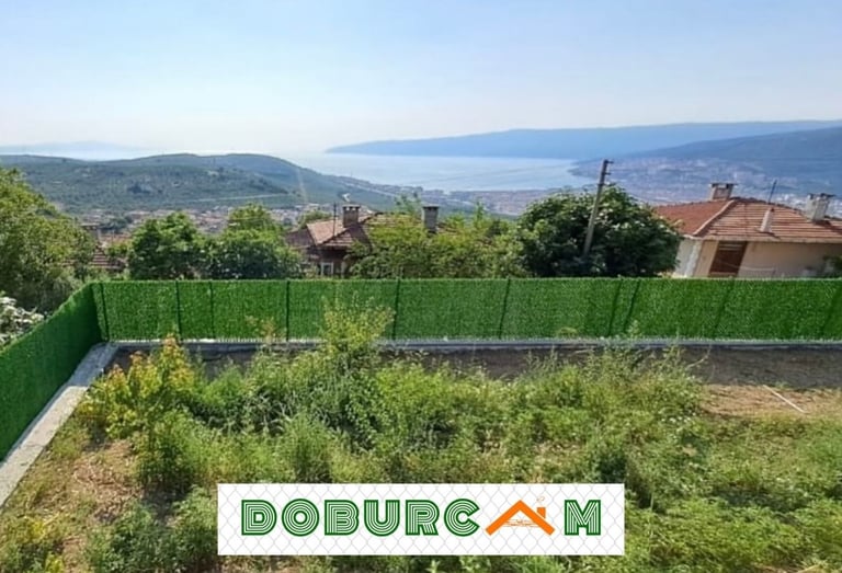 Bursa çimçit