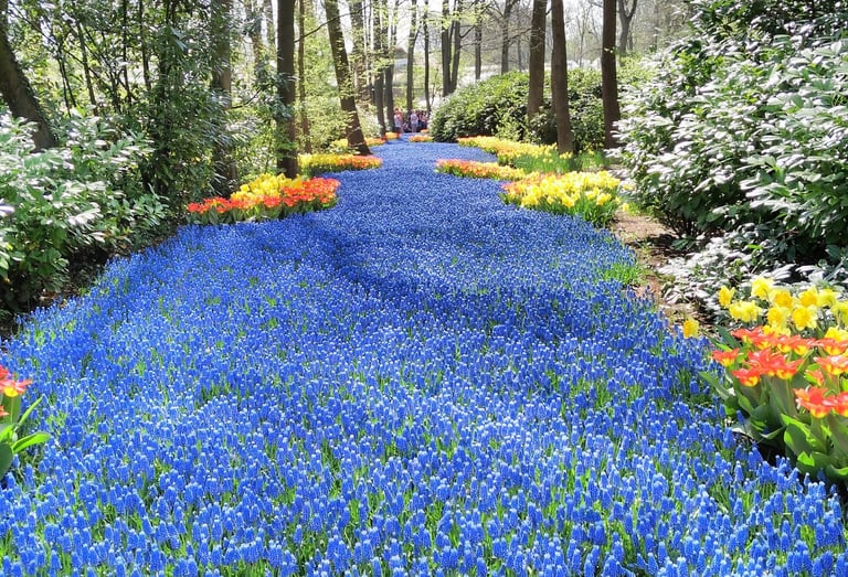 travel and tourism company in dubai