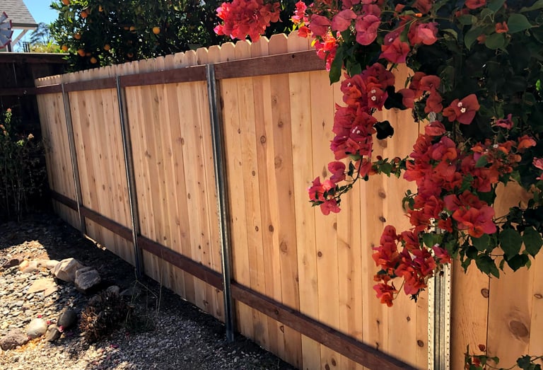 Cedar Fence