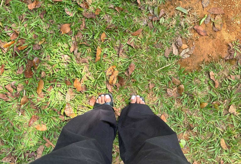 caminhada acompanhamento terapeutico at brasília psicólogo terapia psicanálise