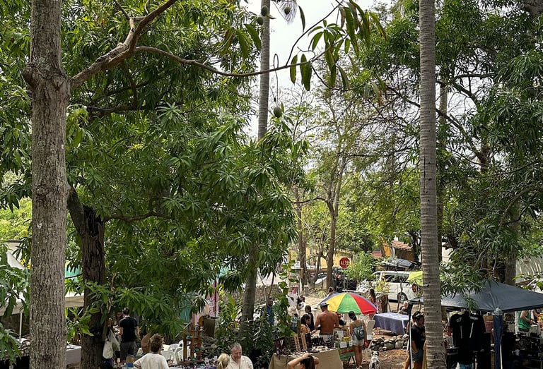 plaza mango verde people gathering at farmers market 
