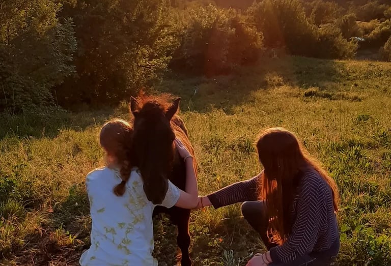two women are sitting on a hill and hugging a horse at sunset