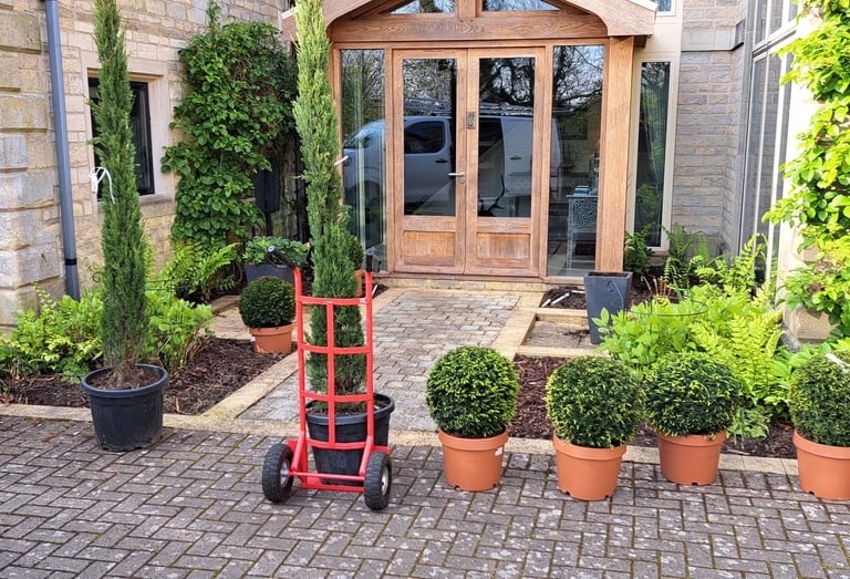 Trees and shrubs being delivered 