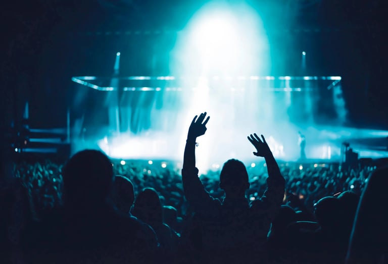 Minia pakeltomis rankomis koncerte po ryškiomis mėlynomis šviesomis.