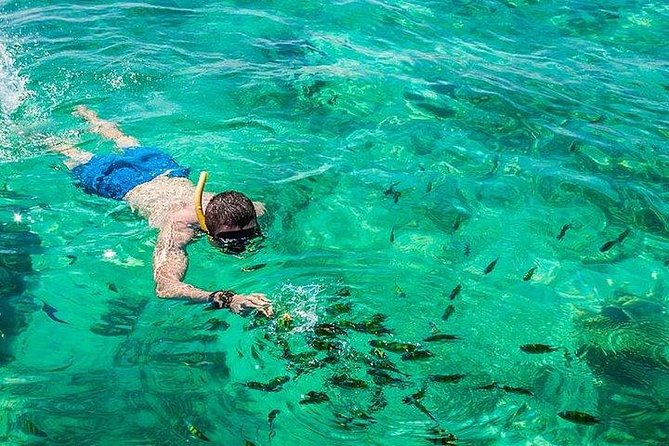 Snorkeling on one of the islands in Tunku Abdul Rahman Marine Park