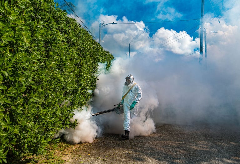 Odkomarzanie oraz odkleszczanie Śląsk - Zwalczanie komarów, kleszczy meszek oraz wiele innych owadów