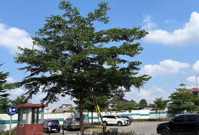 Faiz Hayaza Clinic Parking