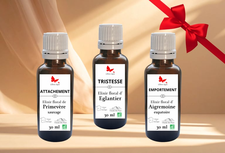 Pack de 3 élixirs floraux artisanaux pour une cure de 3 mois par Sylvie Salvazes.